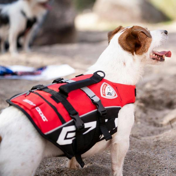 EzyDog DFD Standard Dog Life Jacket in Red