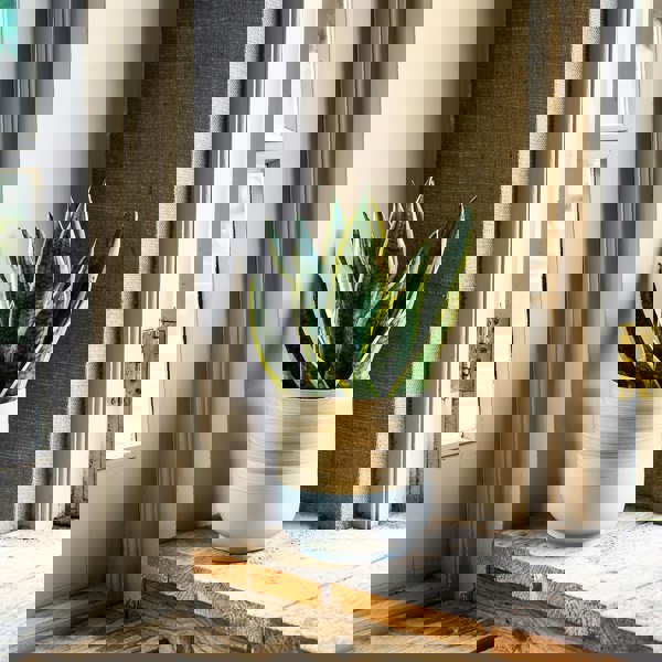 #color_grey