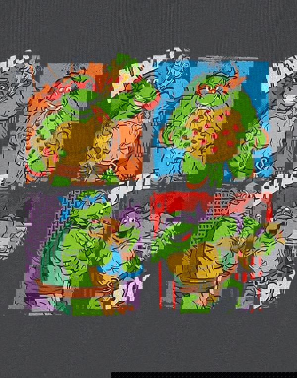 Teenage Mutant Ninja Turtles Boys Grey Have A Slice Day Sweatshirt