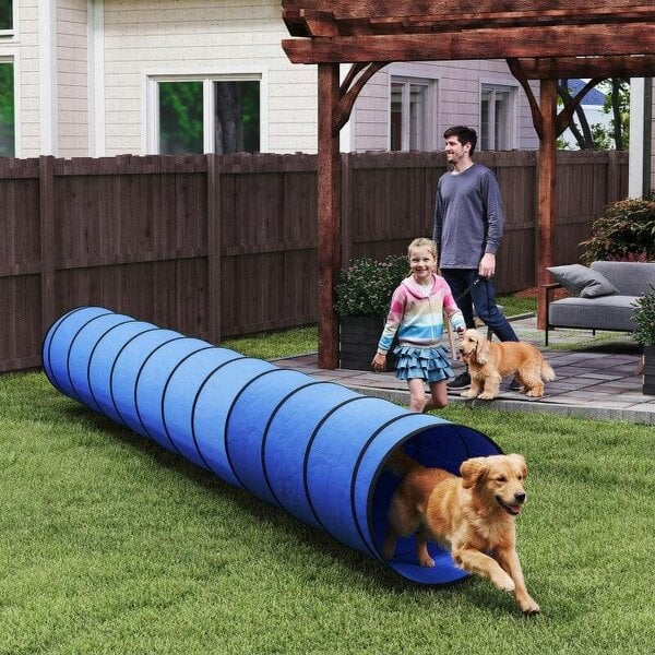 Dog Tunnel, 500 x 60 cm, Foldable Play Tunnel with 6 Pegs and Bag, Tear-Resistant Outdoor Dog Agility Equipment, Blue - Blue