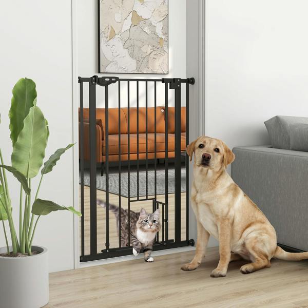 Pet Gate