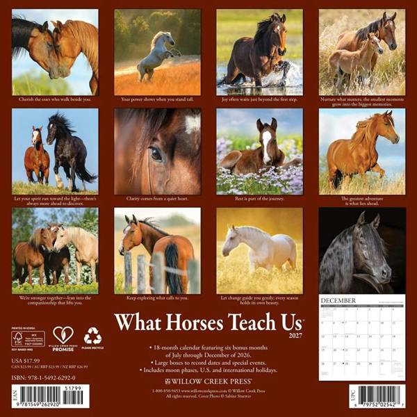 What Horses Teach Us Calendar 2027, Wall Calendars, Month To View, Animals, Gift