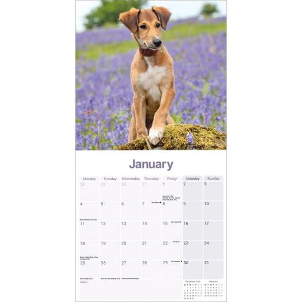 Lurcher Calendar 2027, Wall Calendars, Month To View, Dogs, Gift