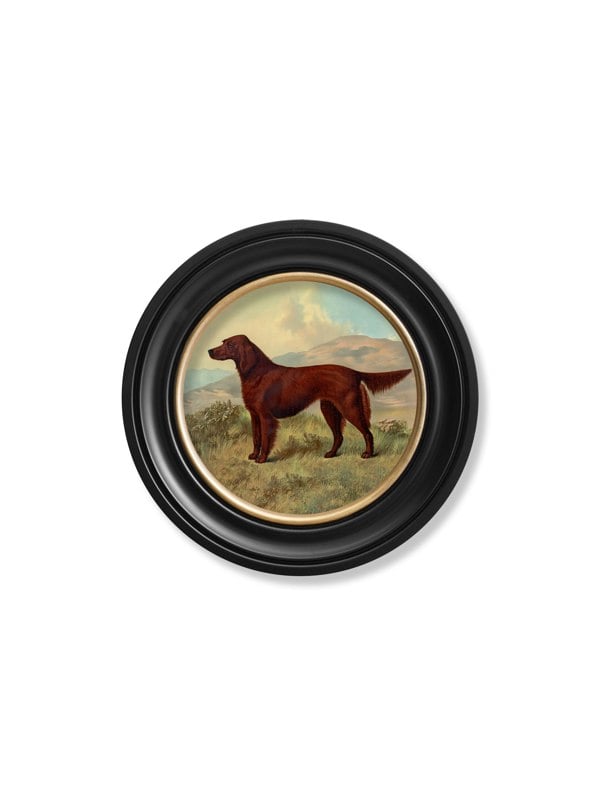 Exceptional Art c.1881 Working Dogs - Round Frame