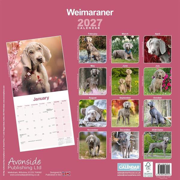 Weimaraner Calendar 2027, Wall Calendars, Month To View, Dogs, Gift