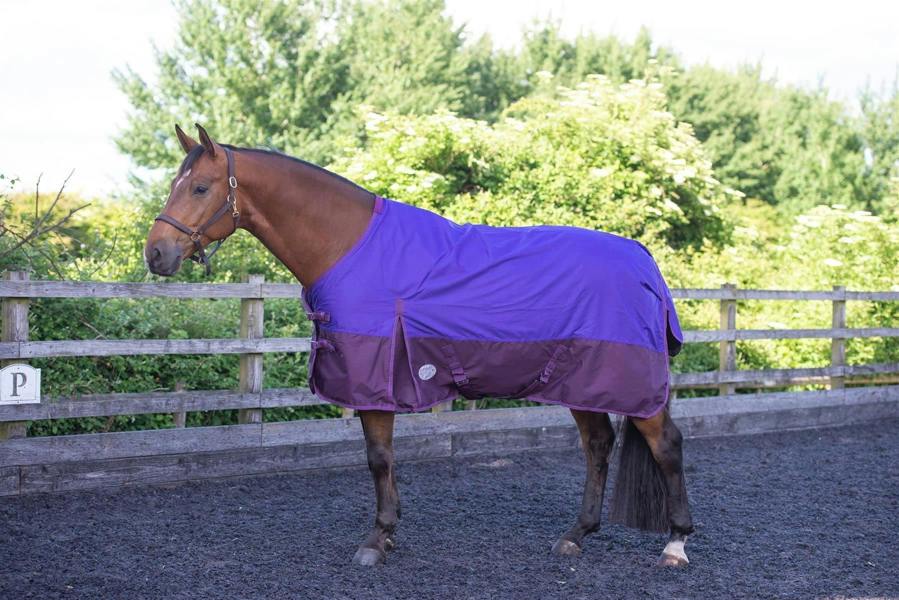 eQuitack 600D Outdoor Winter Mediumweight Waterproof Horse Turnout Rug 100g Fill Standard Neck Nylon Lined Double Buckle Purple/Plum