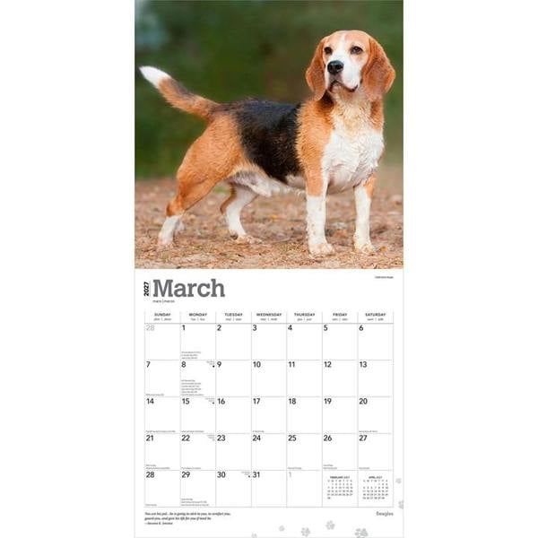 Beagles Calendar 2027, Wall Calendars, Month To View, Dogs, Gift