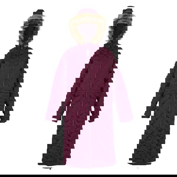 Regatta Womens/Ladies Freyla Padded Jacket - Fig - 