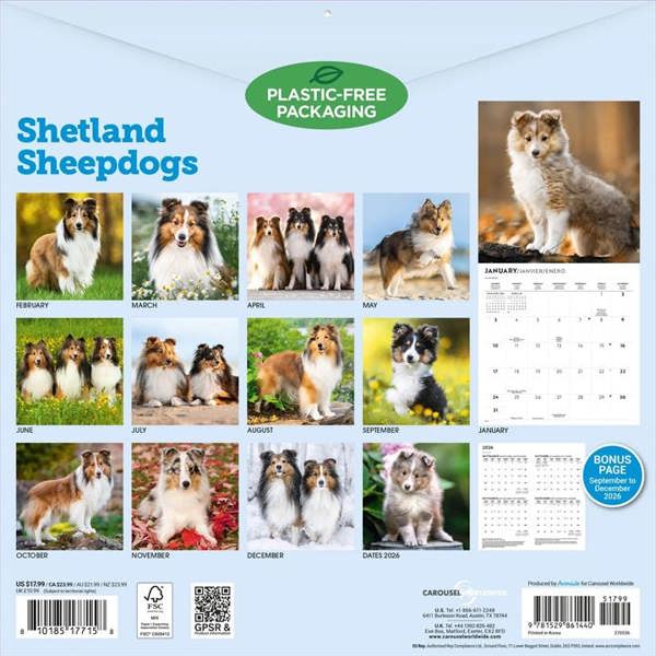 Shetland Sheepdogs Calendar 2027, Wall Calendars, Month To View, Dogs, Gift