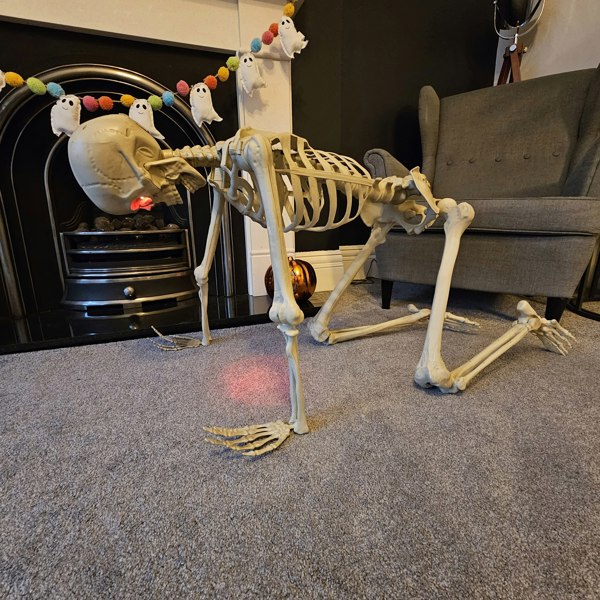 Samuel Alexander 5ft (150cm) Posable Full Body Halloween LED Skeleton Decoration with Movable Joints and LED Eyes