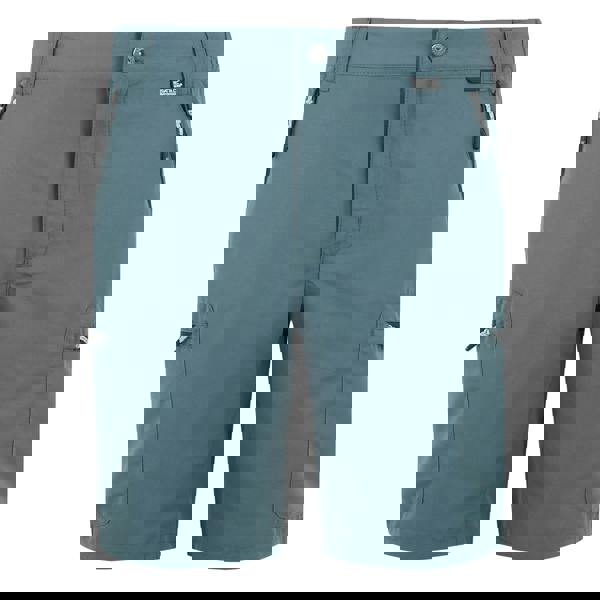 Regatta Mens Leesville III Shorts - Stormy Weather