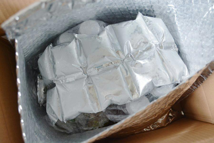 Ecohome Insulation CoolaPack Ice Pads
