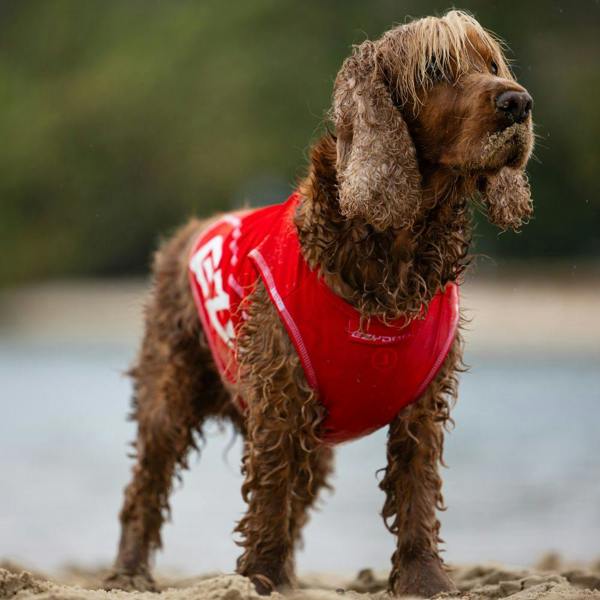 EzyDog UPF 50+ Dog Rash Vest in Red