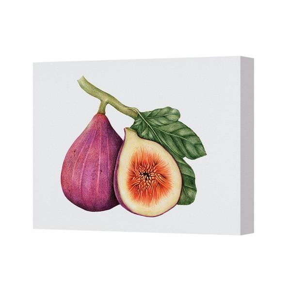 Benjamin Tate Design Fig Fruit Canvas Wall Art Print With Green Leaves Decor