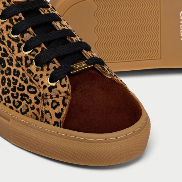 Star leopard suede trainer tip close up