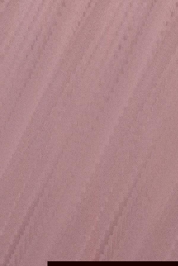 Embroidered Mesh Maxi Dress - Blush DR3584