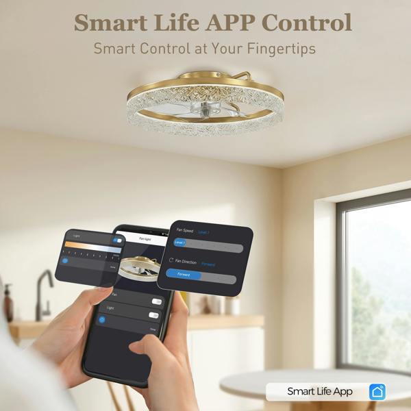 Ceiling Fan With Light