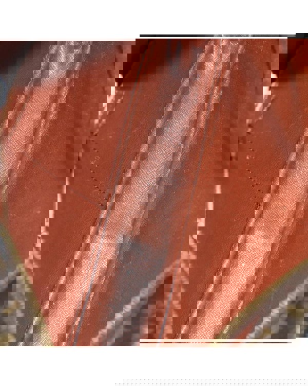 197259430.jpg