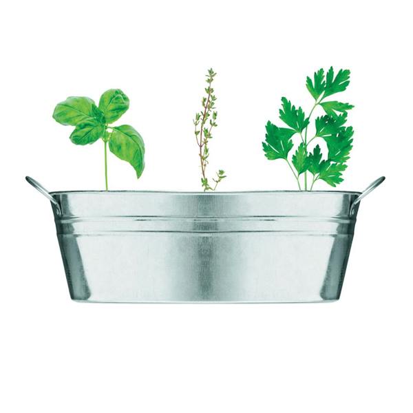 MidOcean Herb Seeds Plant Pot - Matt Silver - 