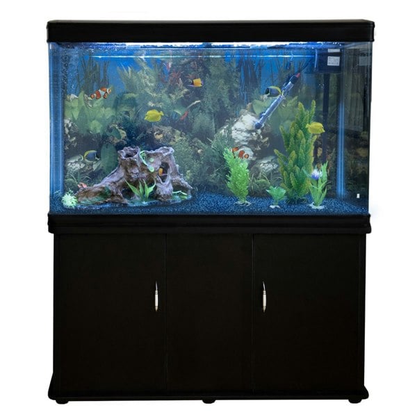 Monstershop Aquarium Fish Tank & Cabinet with Complete Starter Kit - Black Tank & Blue Gravel