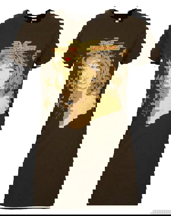 DC Comics Womens Brown Wonder Woman Short Sleeved T-Shirt