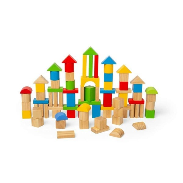 Bigjigs Toys First Building Bricks