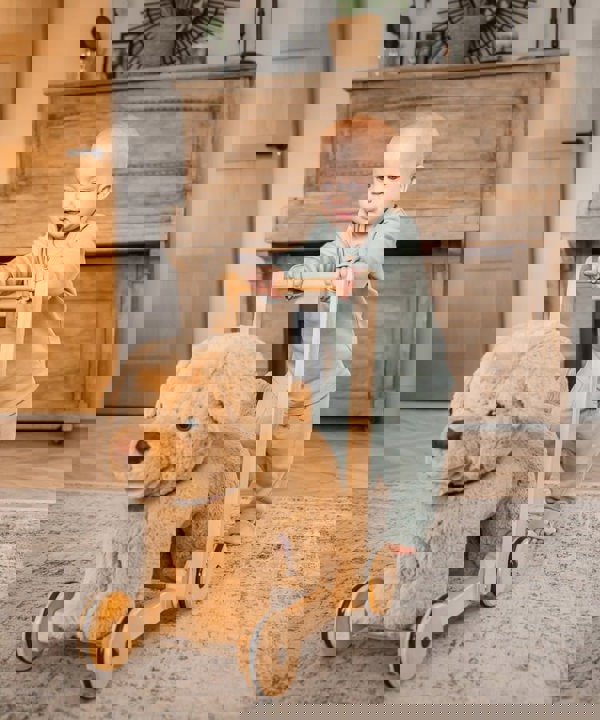 Boy pushing dexter dog one of the push along toys from little bird told me 