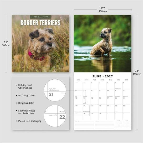 Border Terriers Calendar 2027, Wall Calendars, Month To View, Dogs, Gift