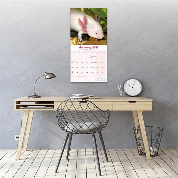 Axolotls Calendar 2027, Wall Calendars, Month To View, Animals, Gift