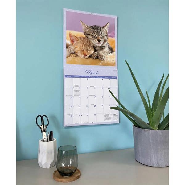 Naptime Cats Calendar 2027, Wall Calendars, Month To View, Cats, Gift