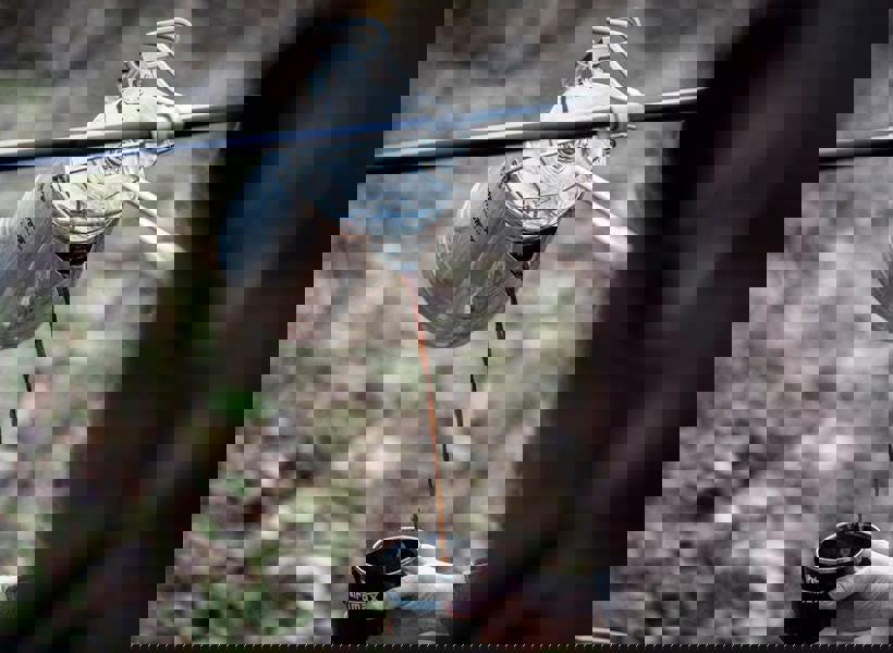 Petromax Stainless Steel Perkomax Percolator