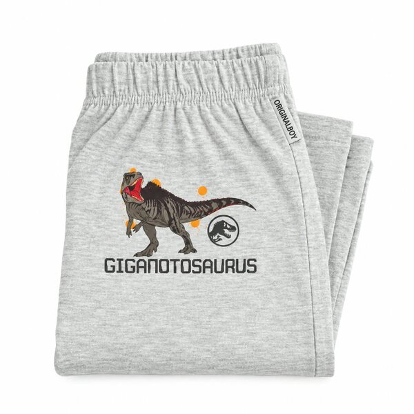 Onomato! Jurassic World Boys T-Rex Pyjama Set 100% Cotton 2-3 Years Blue