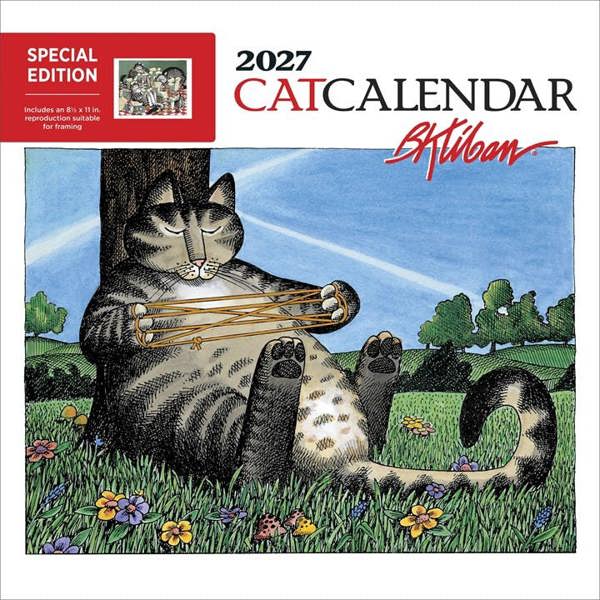 Unbranded B Kliban, Cat Special Edition Calendar 2027, Wall Calendars, Month To View, Humour, Gift