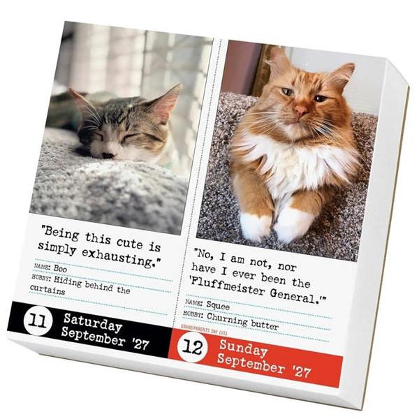 Bad Cat Desk Calendar 2027, Desk Calendars, Day To View, Cats, Gift