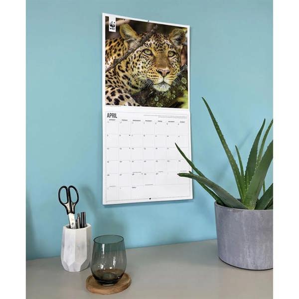 WWF, Big Cats Calendar 2027, Wall Calendars, Month To View, Animals, Gift