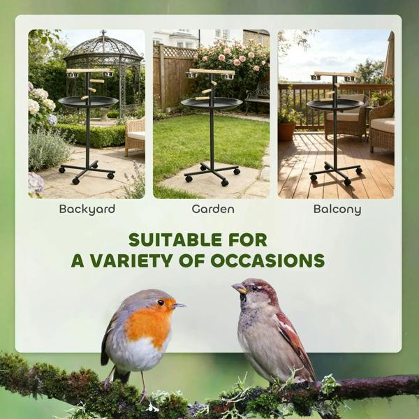 Black parrot perch stand shown in backyard, garden, and balcony settings