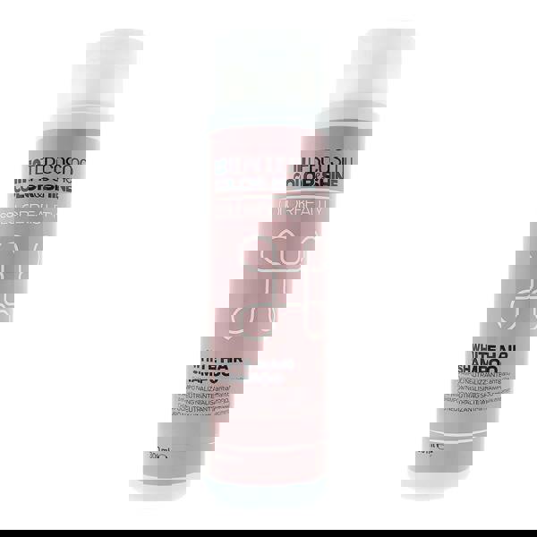 Intercosmo Voilà Intercosmo Color  Shine White Hair Shampoo 300ml