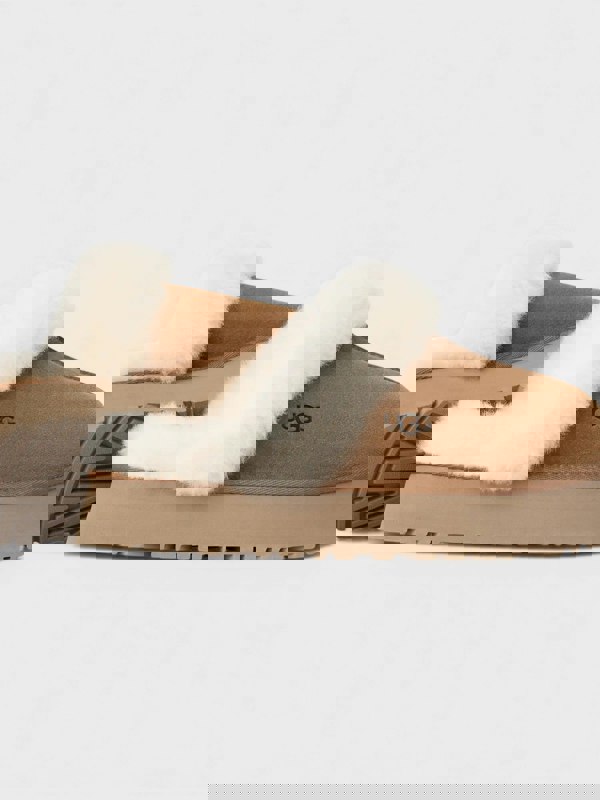 Ugg Women's Disquette Slipper Chesnut