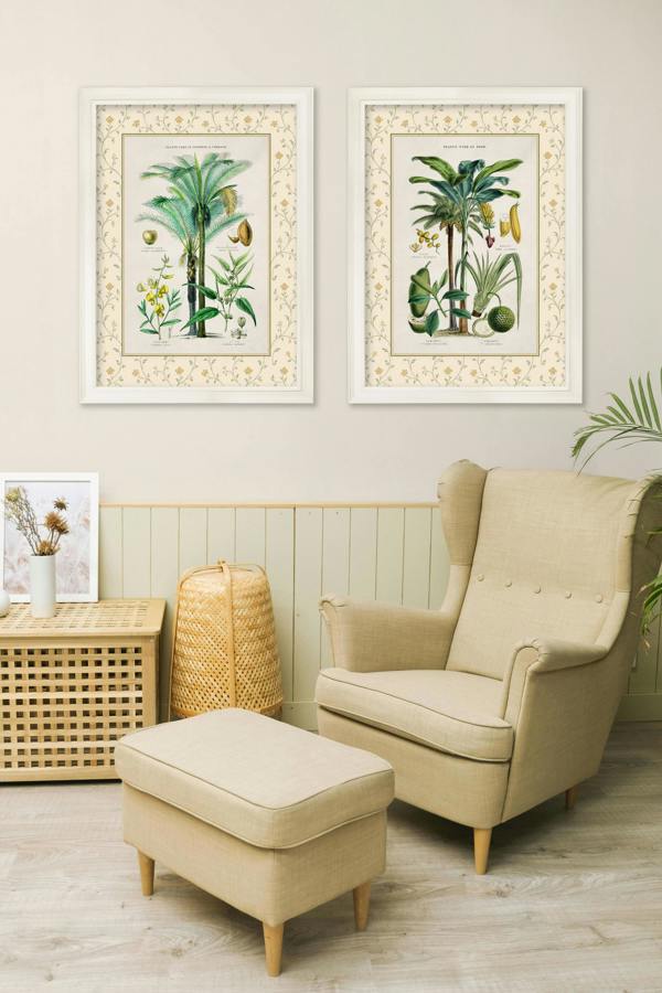 Exceptional Art c.1877 Plants Used as Food and Clothing with Floral Mount - Cream Hurstwood Frame