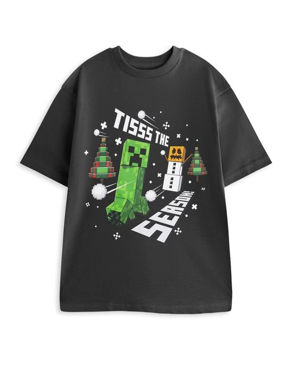 Minecraft Mens Grey Tisss The Season Short Sleeved T-Shirt