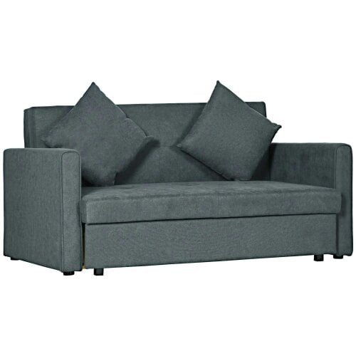 Bobobiy 2 Seater Sofa Bed with Hidden Storage, Pull Out Convertible Bed Settee, Modern Snow Flannel Loveseat Sofa Sleeper with 2 Cushions, Dark Grey