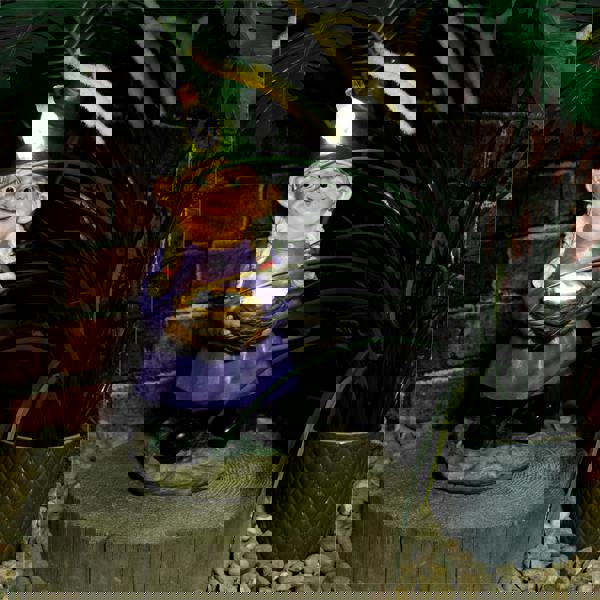 St Helens Female Gnome with Egg Basket