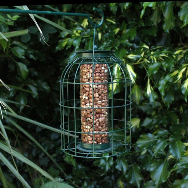 Samuel Alexander Pack of 3 Hanging Nut Seed & Fat Ball Bird Feeders with Squirrel Guard