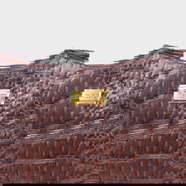 Assots London 'CAROL' Brown Croc Real Leather Designer Crossbody Shoulder Bag