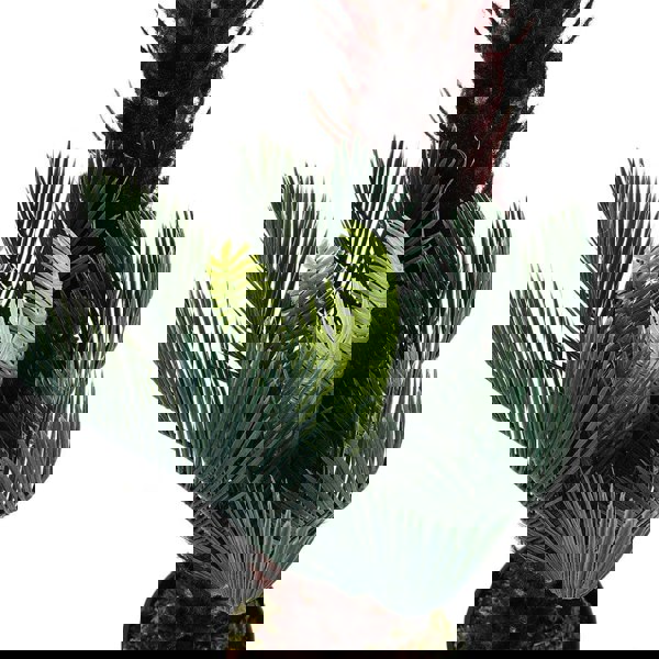 Artificial Double Cycas Decorative Plant in Planter Living and Home