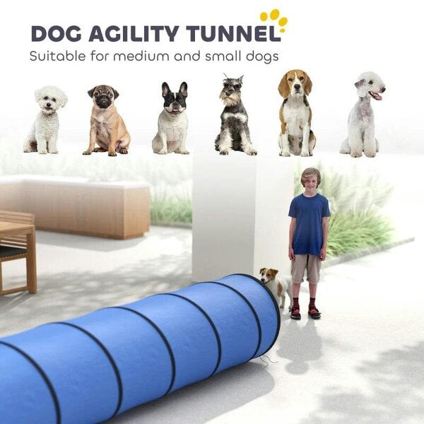 Dog Tunnel, 300 x 50 cm, Foldable Play Tunnel with 4 Pegs and Bag, Tear-Resistant Outdoor Dog Agility Equipment, Blue