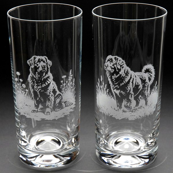 Glyptic Glass Art Newfoundland Dog Highball Glass - Hand Etched/Engraved Gift