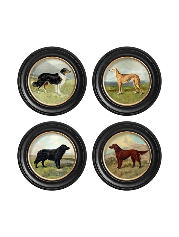 Exceptional Art c.1881 Working Dogs - Round Frame