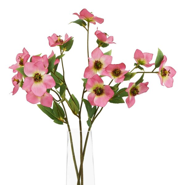 Wyld Haus Set of 3 Artificial Flowers Pink Variegated Hellebore Stem