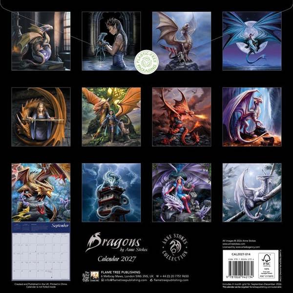 Anne Stokes, Dragons Calendar 2027, Wall Calendars, Month To View, Art, Gift